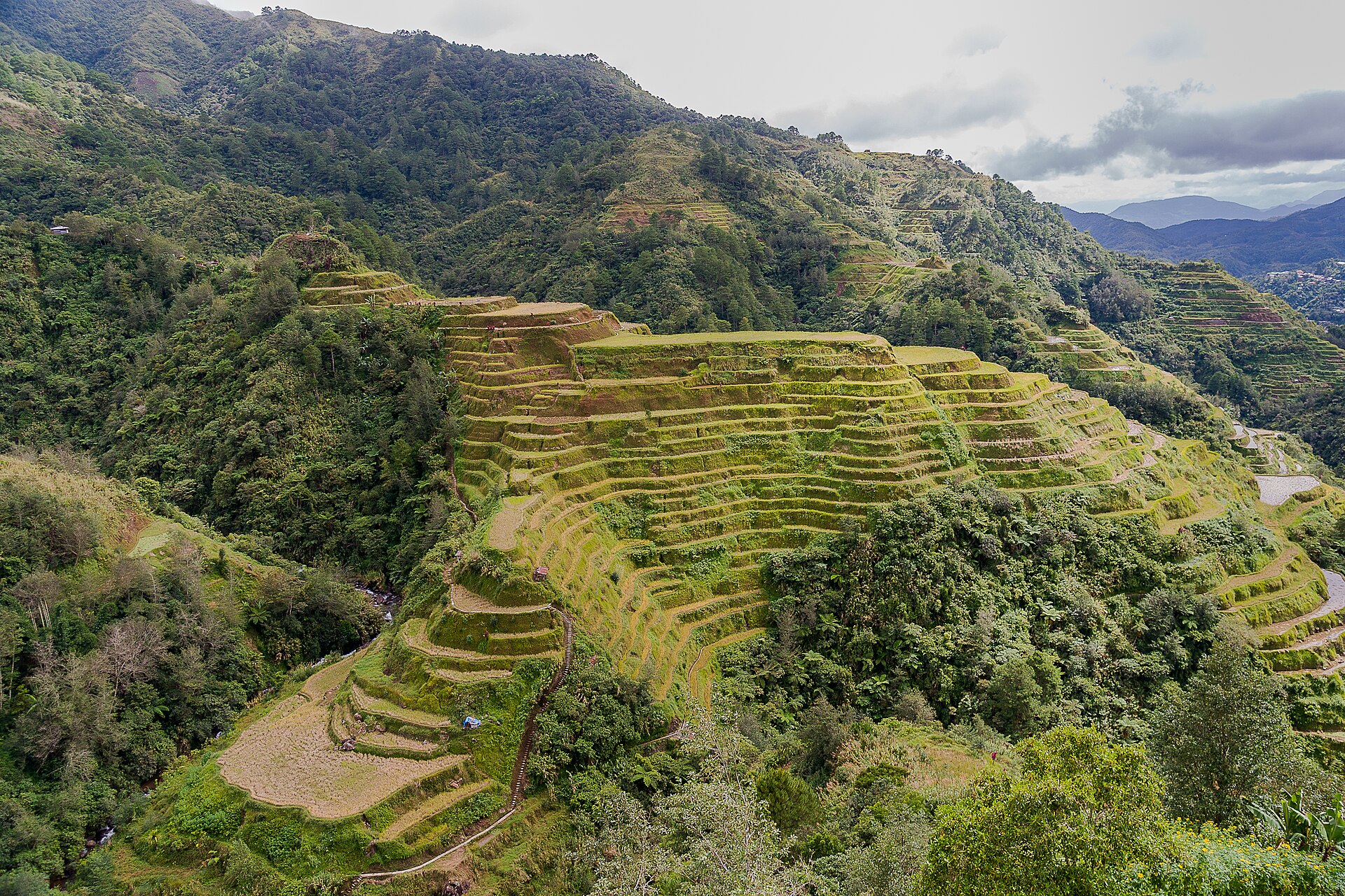 The Banaue rice terraces carved into the mountains of northern Luzon