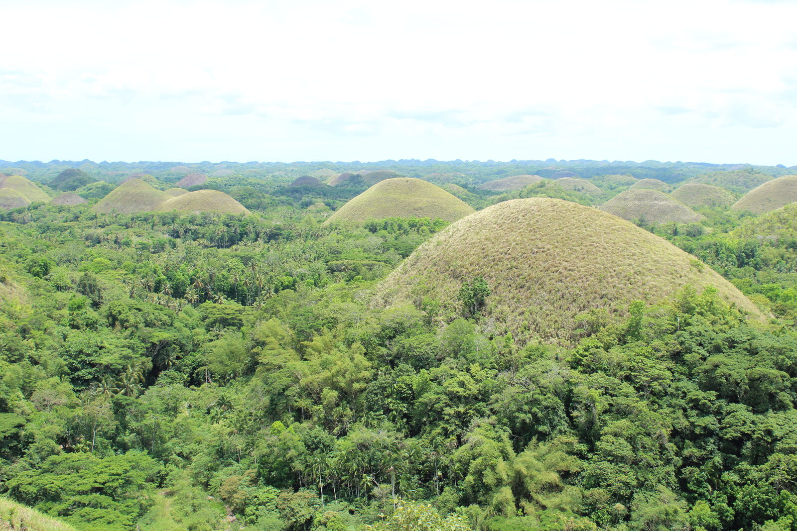 The Chocolate Hills of Bohol in the Visayas